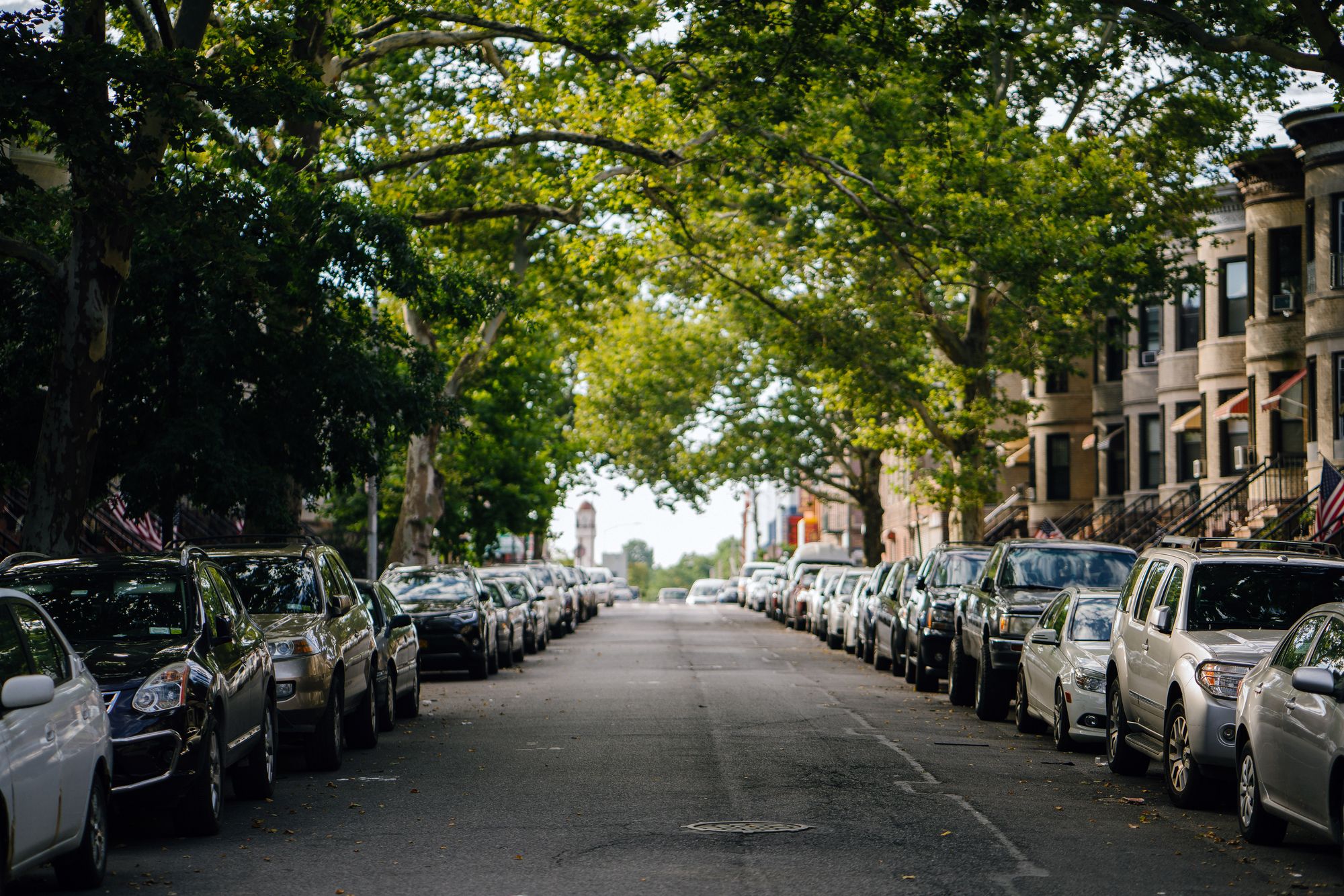 Tree covered street in a city neighborhood 